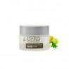 Lotus Professional Phyto Rx Whitening & Brightening Night Cream
