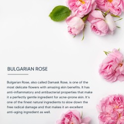 Lotus Professional Dermao Spa Bulgarian Rose Radiance and Renewal Night Creme, 50g