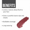 Swiss Beauty Lip & Cheek Cream, Shade- Berrylicious, Face Makeup, 8Gm